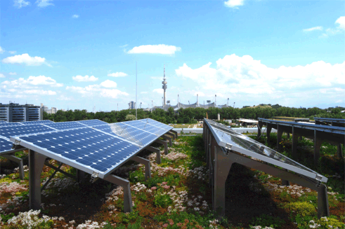 energia solar

